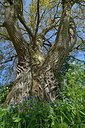 BUITEN BEELD Foto: 284442