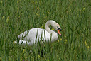 BUITEN BEELD Foto: 284444