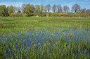 BUITEN BEELD Foto: 284454