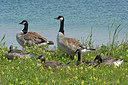 BUITEN BEELD Foto: 284457