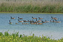 BUITEN BEELD Foto: 284458