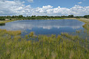 BUITEN BEELD Foto: 284475