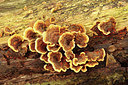BUITEN BEELD Foto: 284495