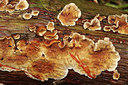 BUITEN BEELD Foto: 284498
