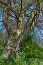 BUITEN BEELD Foto: 284500