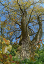 BUITEN BEELD Foto: 284501