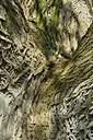 BUITEN BEELD Foto: 284502