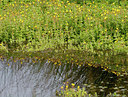 BUITEN BEELD Foto: 284525
