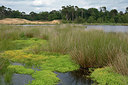 BUITEN BEELD Foto: 284526