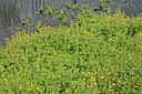 BUITEN BEELD Foto: 284527