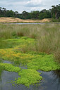 BUITEN BEELD Foto: 284528