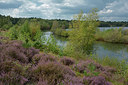 BUITEN BEELD Foto: 284529