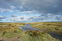 BUITEN BEELD Foto: 284549
