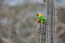 BUITEN BEELD Foto: 284602
