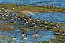 BUITEN BEELD Foto: 284615
