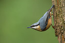 BUITEN BEELD Foto: 284627