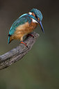 BUITEN BEELD Foto: 284639