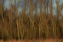 BUITEN BEELD Foto: 284680