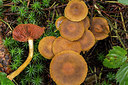 BUITEN BEELD Foto: 284717