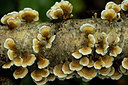 BUITEN BEELD Foto: 284727