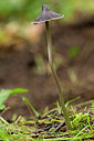 BUITEN BEELD Foto: 284752