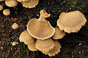BUITEN BEELD Foto: 284756