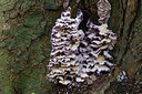 BUITEN BEELD Foto: 284771