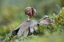 BUITEN BEELD Foto: 284773