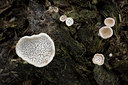 BUITEN BEELD Foto: 284793