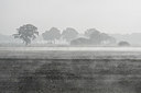 BUITEN BEELD Foto: 284805