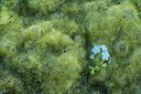 BUITEN BEELD Foto: 284815