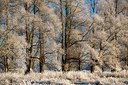 BUITEN BEELD Foto: 284868