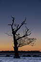 BUITEN BEELD Foto: 284870