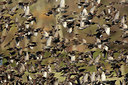 BUITEN BEELD Foto: 284897