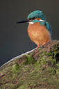 BUITEN BEELD Foto: 284940