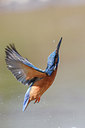 BUITEN BEELD Foto: 284942