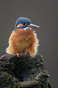 BUITEN BEELD Foto: 284945