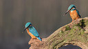 BUITEN BEELD Foto: 284946