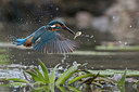 BUITEN BEELD Foto: 284948