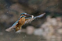 BUITEN BEELD Foto: 284949