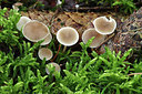 BUITEN BEELD Foto: 285001