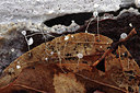 BUITEN BEELD Foto: 285003