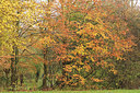 BUITEN BEELD Foto: 285010