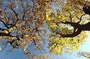 BUITEN BEELD Foto: 285012