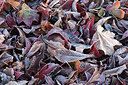 BUITEN BEELD Foto: 285014