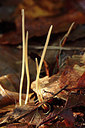 BUITEN BEELD Foto: 285039