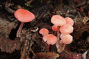 BUITEN BEELD Foto: 285049