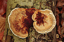BUITEN BEELD Foto: 285050