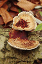 BUITEN BEELD Foto: 285051