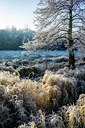 BUITEN BEELD Foto: 285057